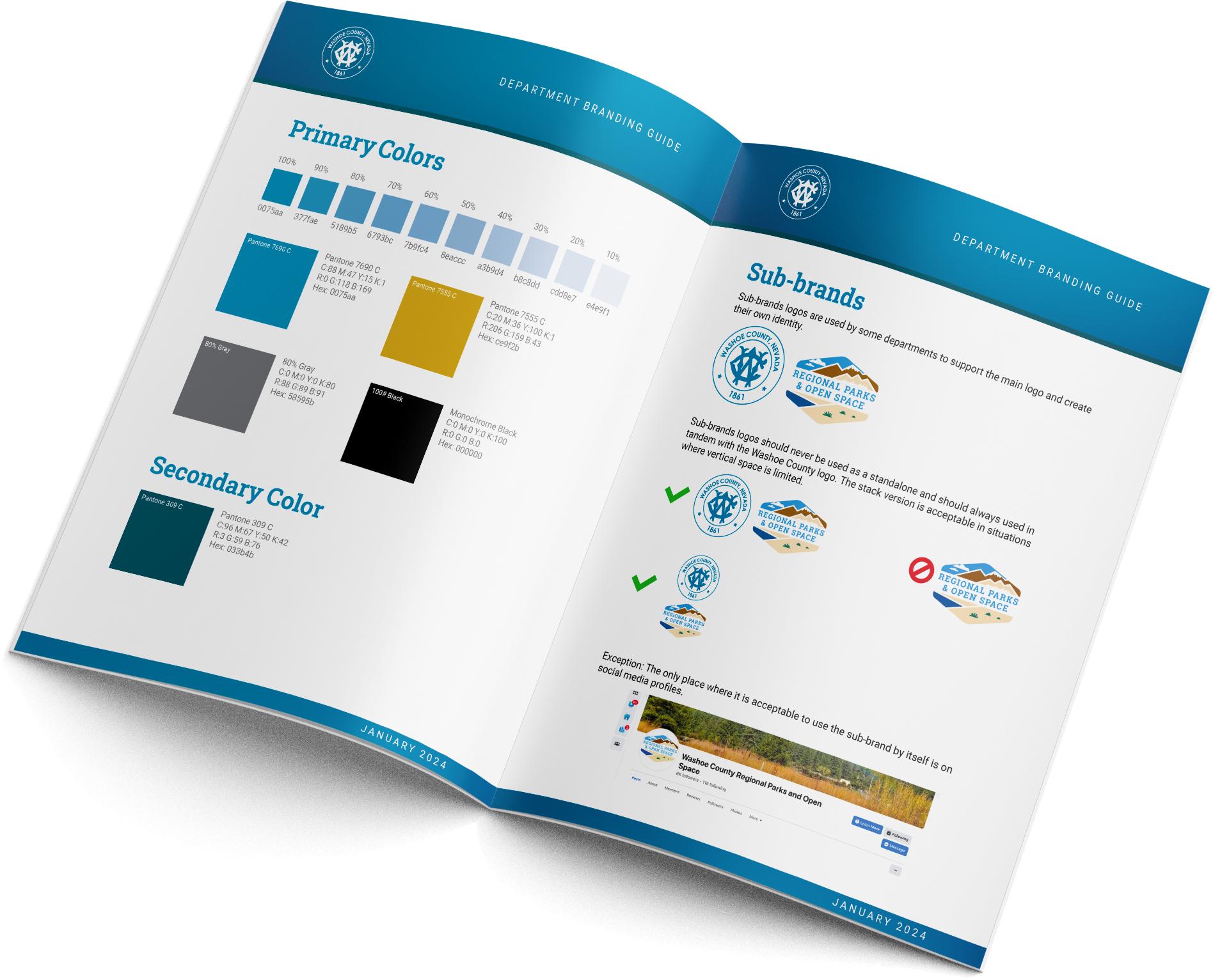 Washoe County brand guide - branding agency