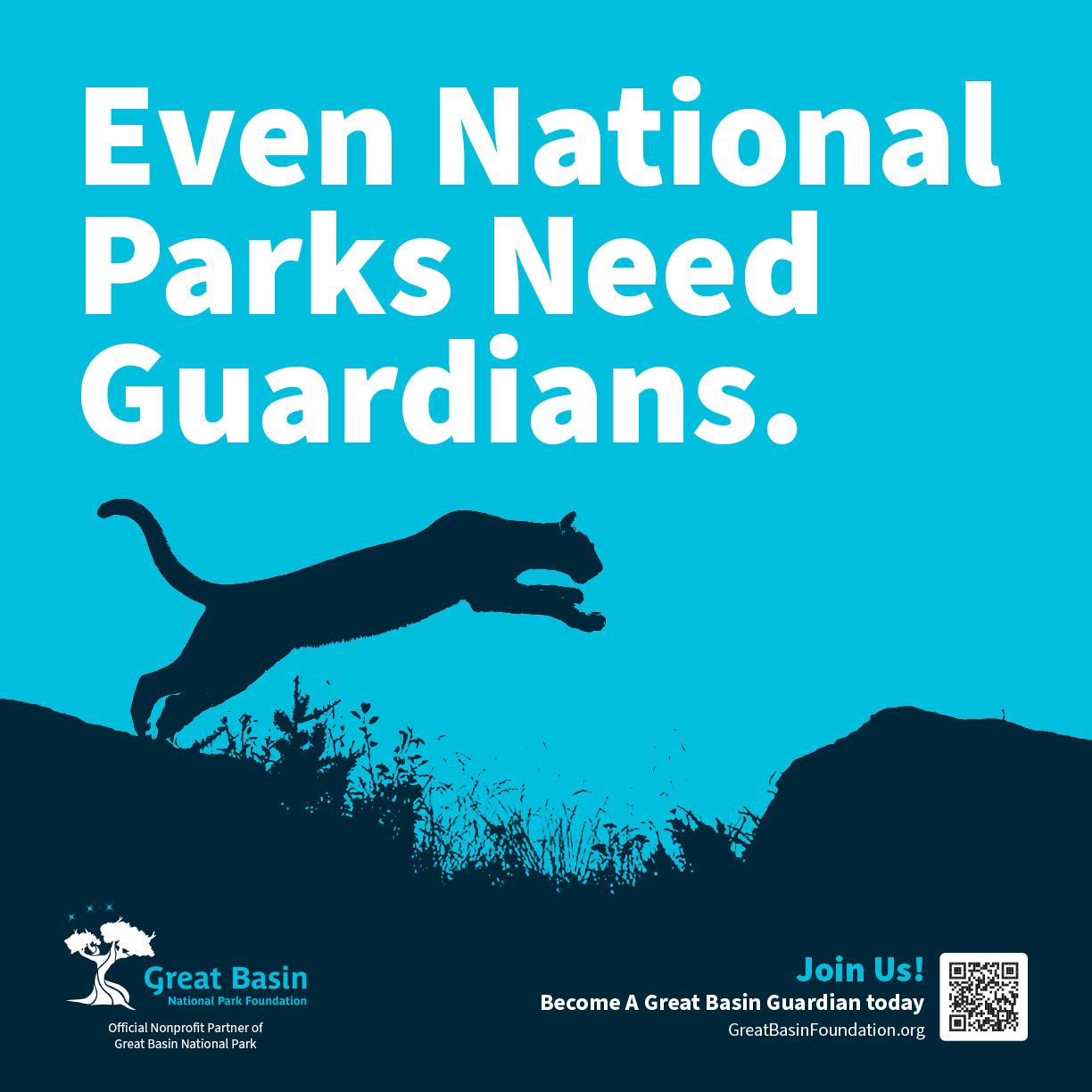 Even National Parks Need Guardians - Graphic Design Advertising